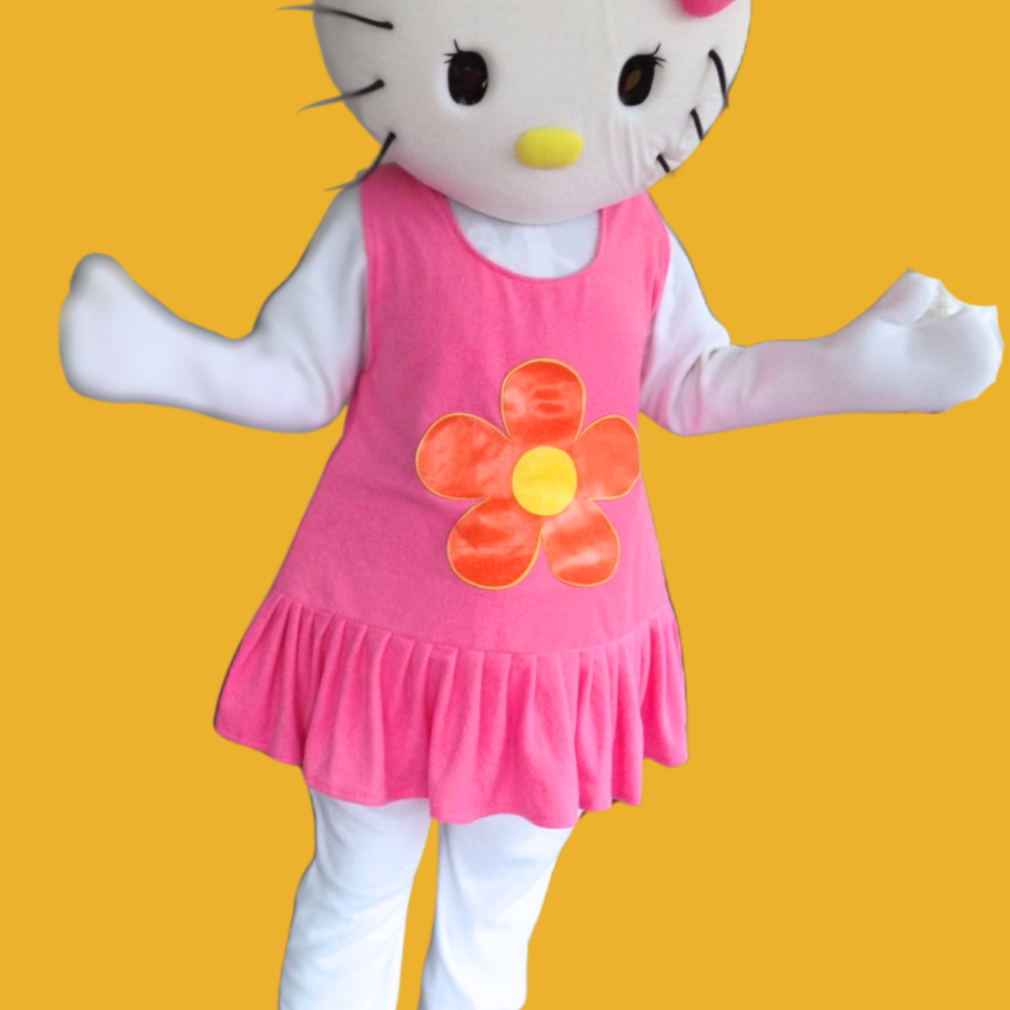 hello kitty party character for hire